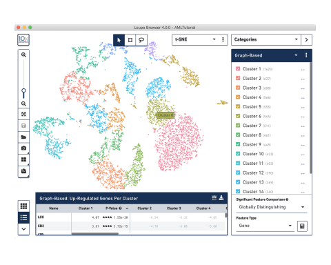 Analysis and visualization software