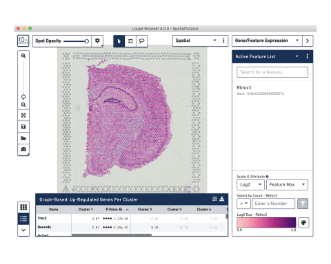 Analysis and visualization software