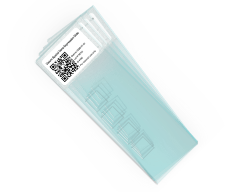 Visium Spatial Gene Expression Slides