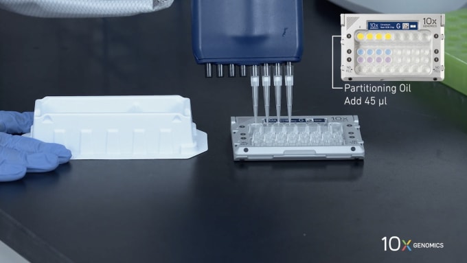 Screen capture of Chromium Next GEM Single Cell 3' v3.1 How-to video series. Load Chromium Next GEM Chip G.