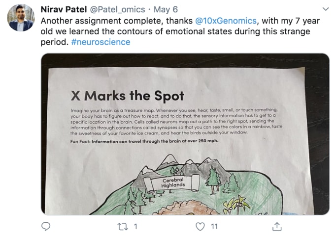 Nirav Patel, Science and Technology Advisor at 10x Genomics, shared his 7 year-old’s latest work. Indeed, #neuroscience.