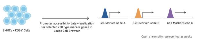 Annotation using cell type-specific cis-regulatory elements. CREDIT: 10x Genomics, CG000234 Cell Type Annotation Strategies for Single Cell ATAC-Seq Data. 