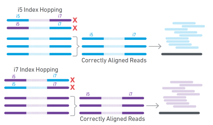 Figure 3: Removal of index-hopped reads during demultiplexing. Index-hopped reads are computationally filtered by Cell Ranger 4.0 during demultiplexing, enabling correct alignment of sample-specific reads. From Chromium Next GEM Single Cell 3ʹ v3.1: Dual Index Libraries Technical Note (CG000325).