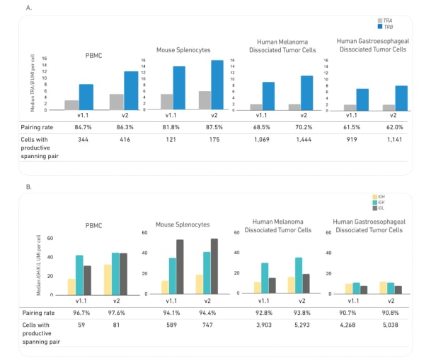 Figure 2. Median V(D)J sequences recovered per cell for TRA/TRB (A) and IGH/IGK/IGL (B) transcripts across samples processed with v1.1 or v2 biochemistry. In all samples, an improvement in V(D)J detection rate is observed as indicated by increased number of cells with productive V-J spanning pair. 