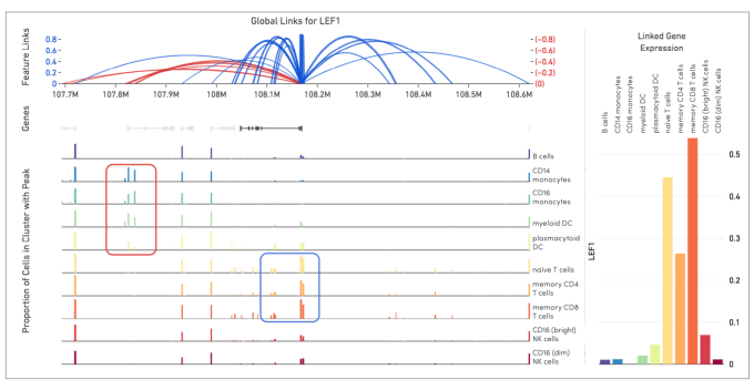  Identification of putative regulatory elements directly linked to a gene of interest. This is an image from Loupe Browser, our visualization software that accompanies Single Cell Multiome ATAC + Gene Expression. At the top, you can see global links for LEF1 indicating open chromatin peaks that are either correlated (blue arcs) or anticorrelated (red arcs) with LEF1 gene expression across a 1 Mb window for a sample of 7,273 PBMC nuclei. Below, LEF1 expression levels and open chromatin peaks are color coded by cell type. Highlighted in blue are cell types with correlated expression and open chromatin regions. In the red box are cell types with anticorrelated expression and open chromatin regions.