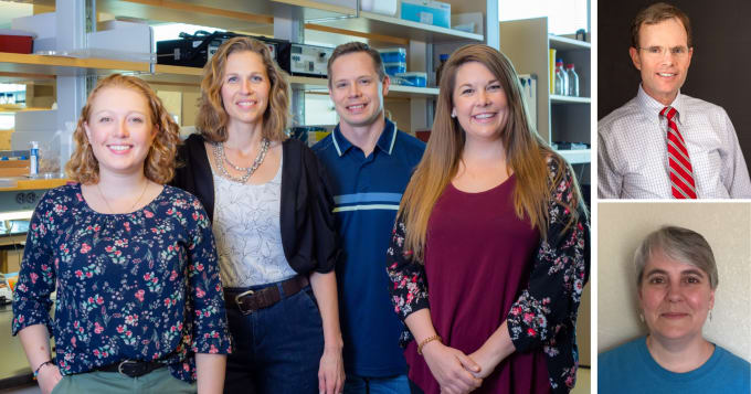 Dr. Siegenthaler’s lab members and other main authors on the project. From left to right: Hannah Jones, Julie Siegenthaler, Brad Pawlikowski, Julia Derk. Top right: John DeSisto. Bottom right: Becky O’Rourke. 