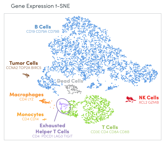 t-SNE plot of 7,859 cells from a dissociated human melanoma sample. Each cell is represented by a single dot. Broad categories of immune cell populations were identified through gene expression signatures. CREDIT: 10x Genomics. LIT000089 Rev B Multiomic profiling of the immune system.