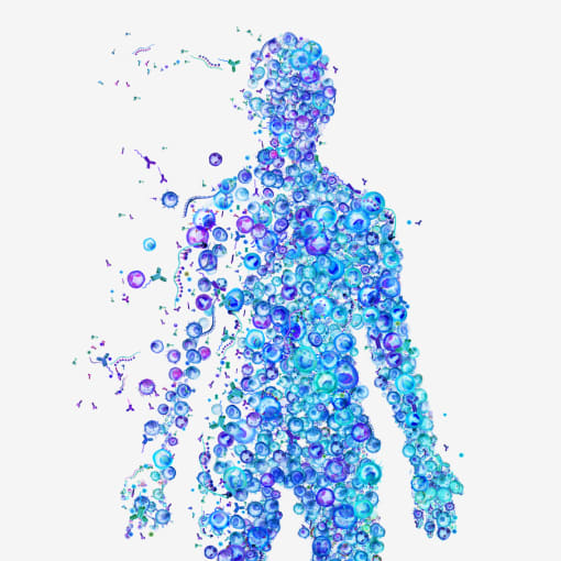 With the unlimited surface-protein tagging potential of a sequencing-based readout, combined with single cell gene expression, researchers can gain a high-resolution view of the cell types and states involved in human health and disease. Transform your view of immune cell diversity, define tumor stem cell identity, or learn why and how T cells become exhausted with the power of Multiomic Cytometry.