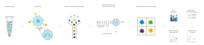 Diagram of the Multiomic Cytometry workflow.