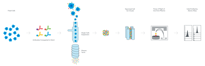 Diagram of the mass cytometry workflow. 