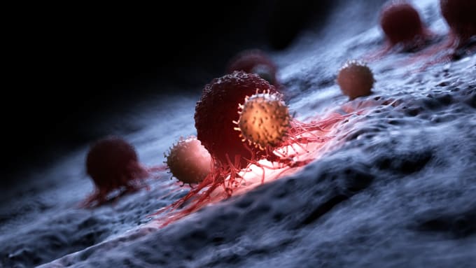 Illustration of white blood cells attacking a cancer cell.