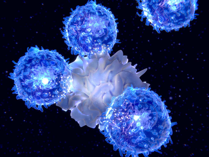 Illustration of a dendritic cell (centre) presenting an antigen to T-lymphocytes. 