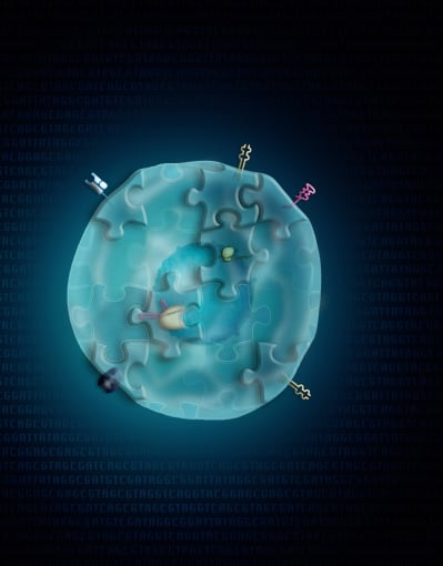 Depiction of a single cell illustrating the multimodal view of biomolecules that can be measured with single cell CRISPR screening method ECCITE-seq. Credit: New York Genome Center.