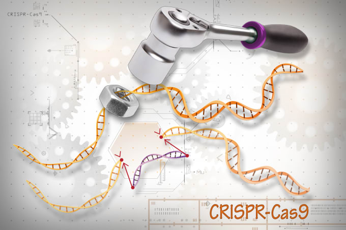 CREDIT: Ernesto del Aguila III, NHGRI.