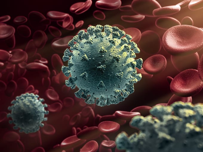 Scientists continue to investigate how SARS-CoV-2 infection affects immune cells circulating in the peripheral blood. Here, a viral cell is surrounded by blood cells.