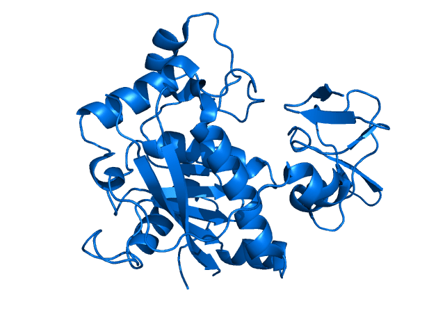 Crystal structure of ADAMTS4. Rendered from PDB 2RJP. CREDIT: Mattyjenjen