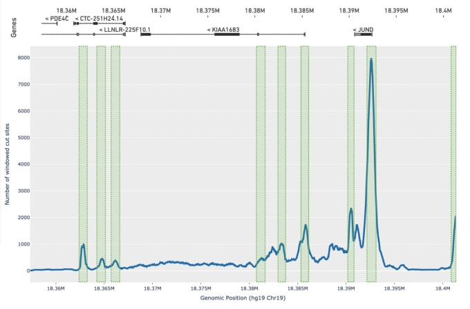 With the new peak calling algorithm, you can get more refined and reproducible peak calls. Shown here is a region from a PBMC sample. Raw signal is indicated by the blue curve, with the new peak calls indicated by green windows. With the previous algorithm, the entire region would have been called as a single wide peak due to the high background signal in this region.