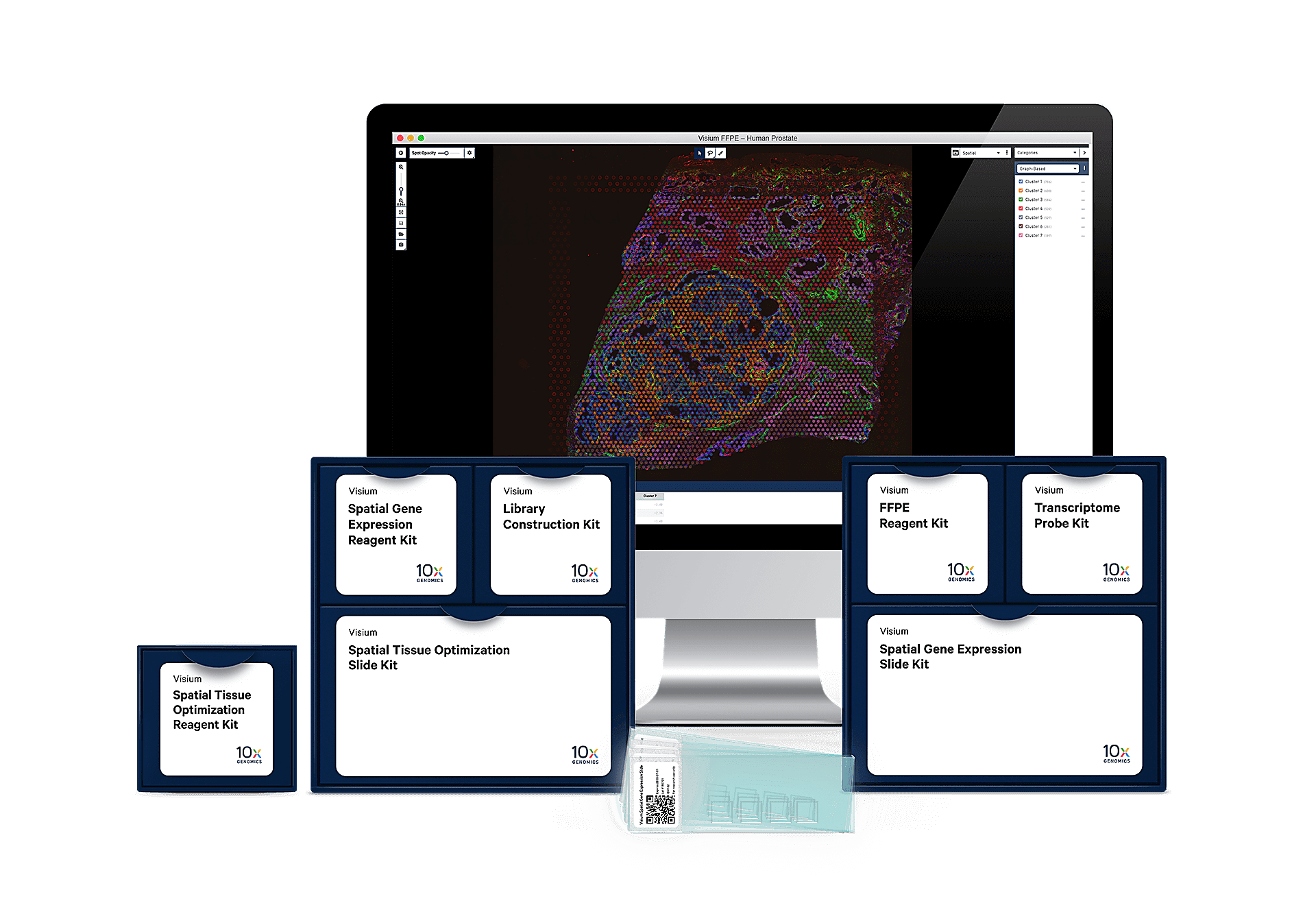 Single Cell Gene Expression