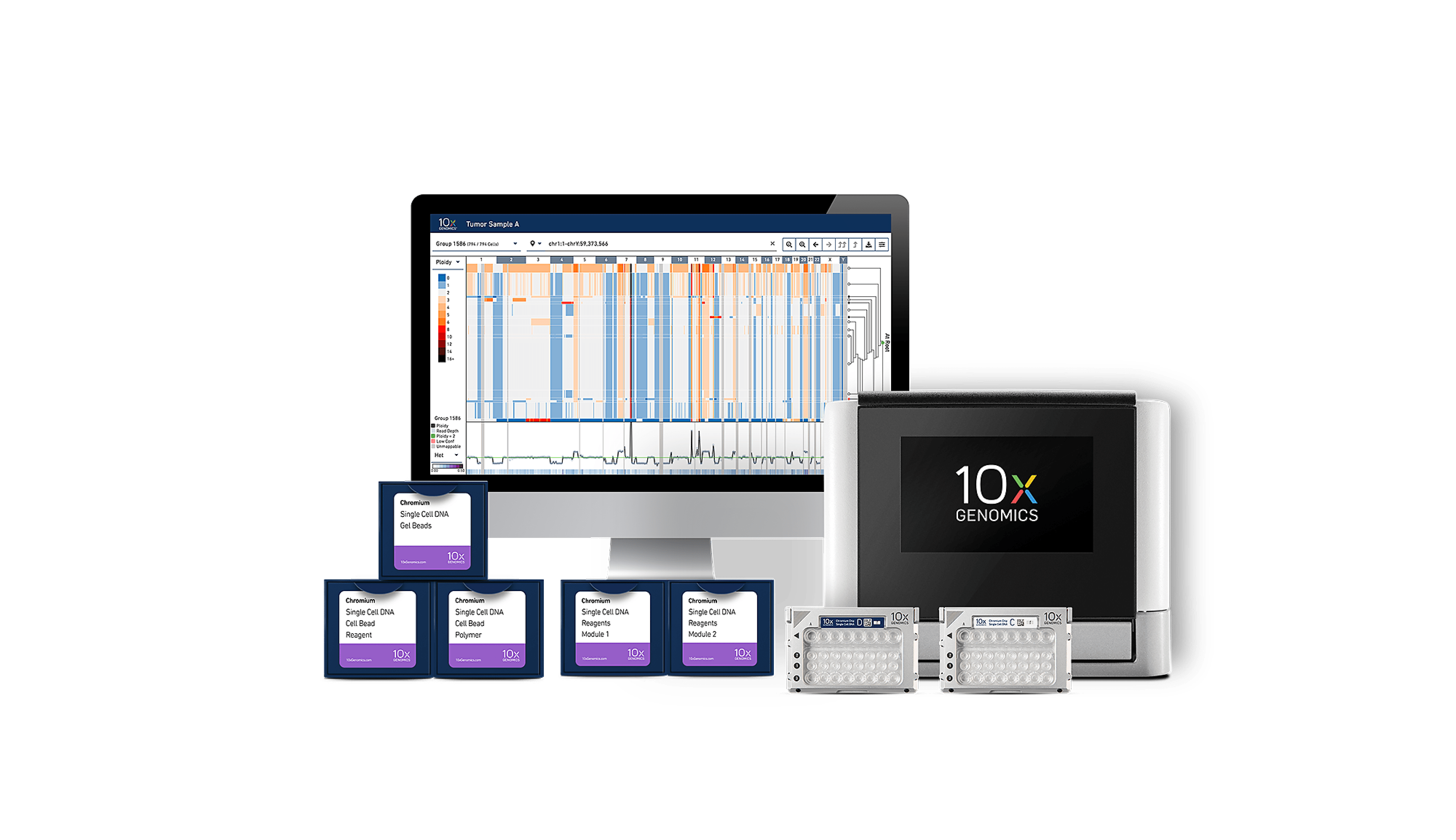 single cell gene expression 10x genomics