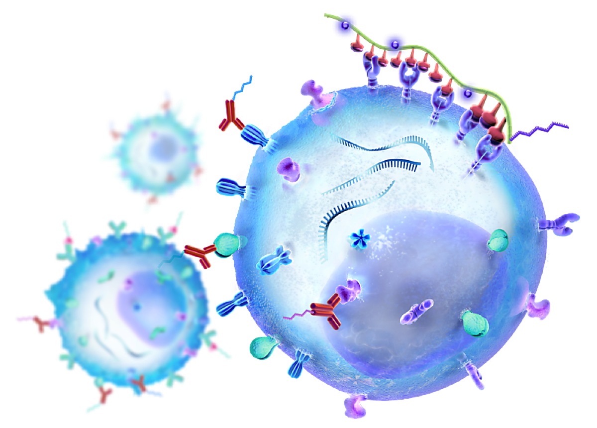 Illustration of three cells being analyzed using multiomic cytometry techniques