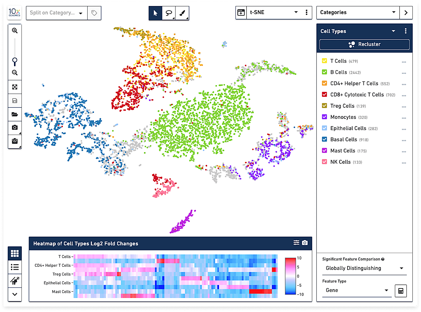 Loupe Browser cell type clusters, represented as t-SNE, list, and heatmap