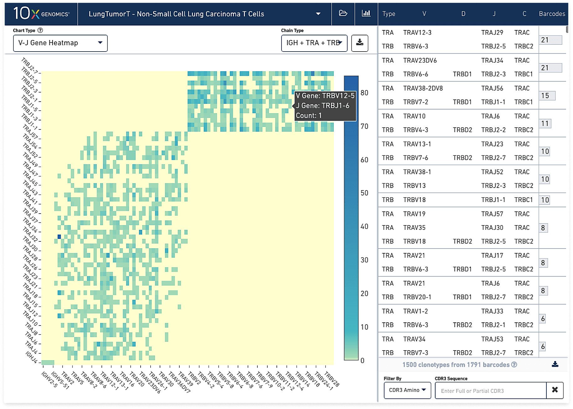 Loupe VDJ Browser data with V-J gene heatmap and list