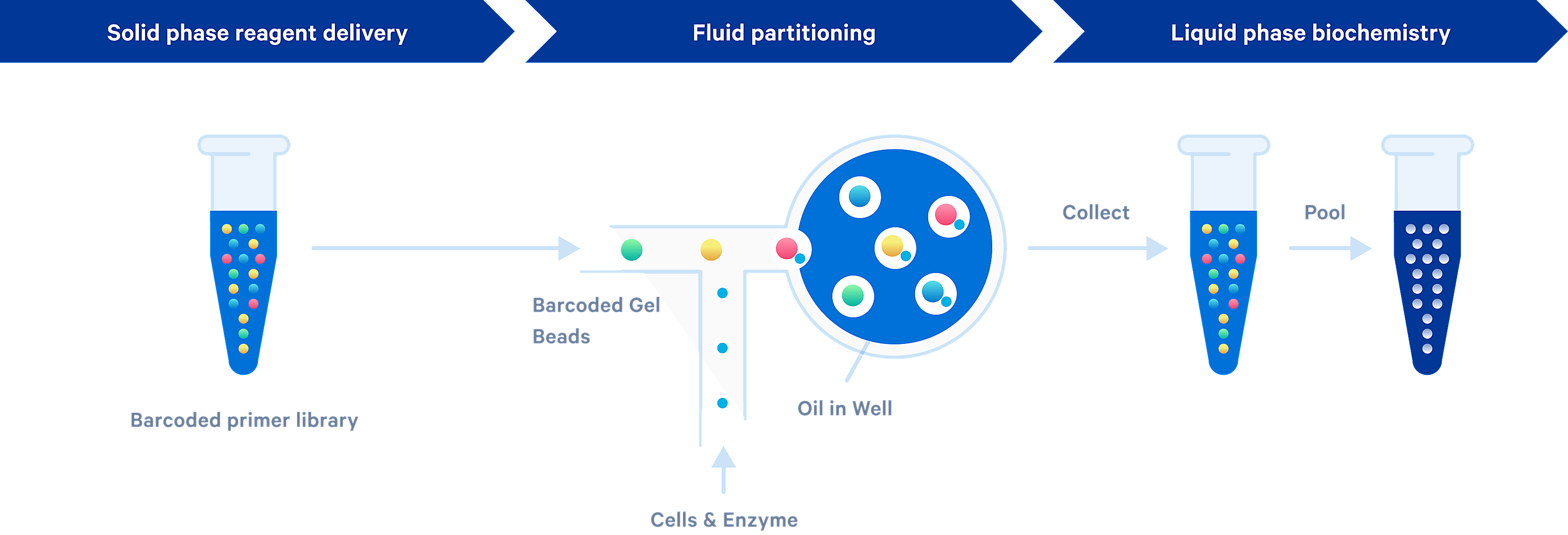 テクノロジー 10x Genomics