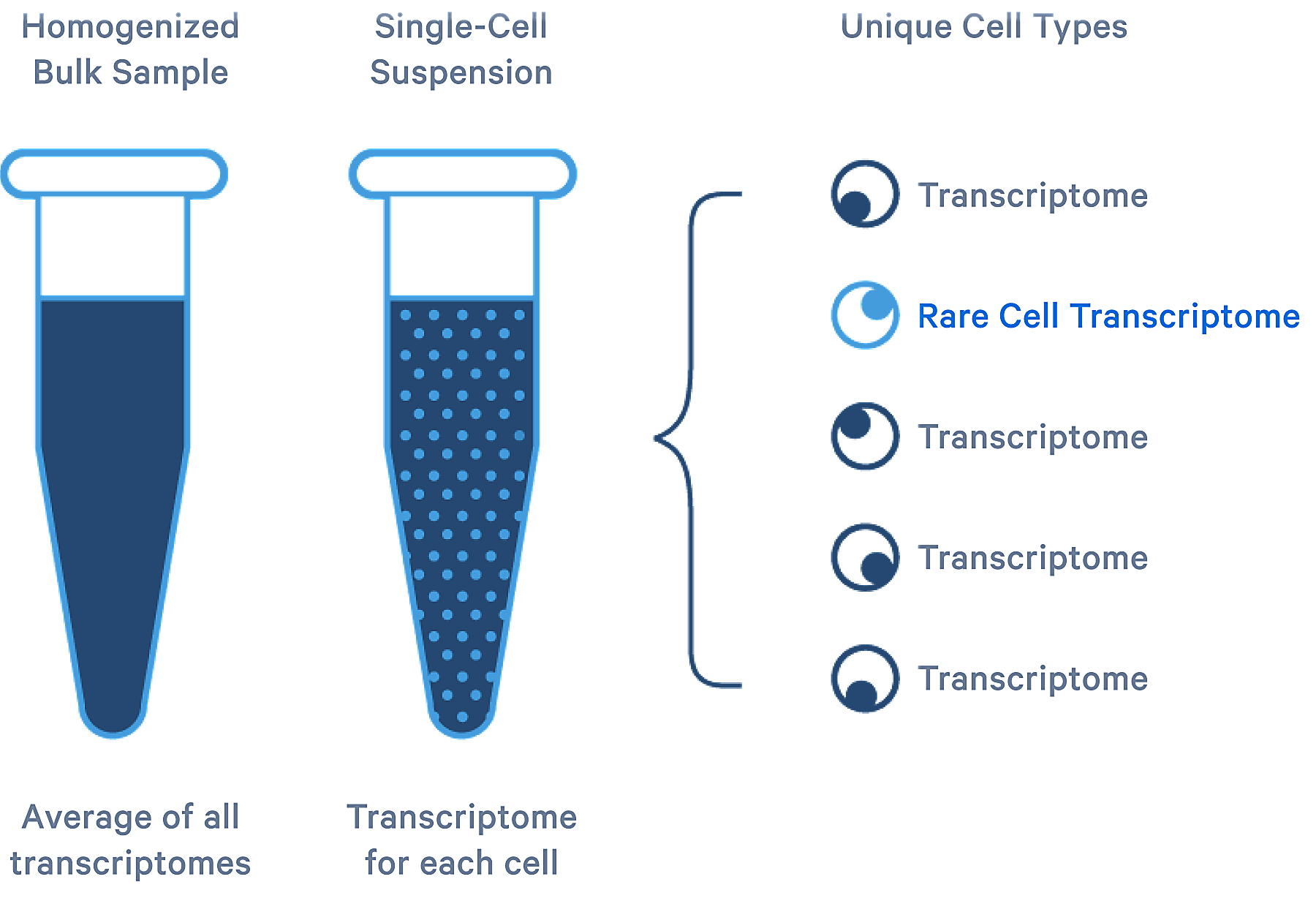 Single cell