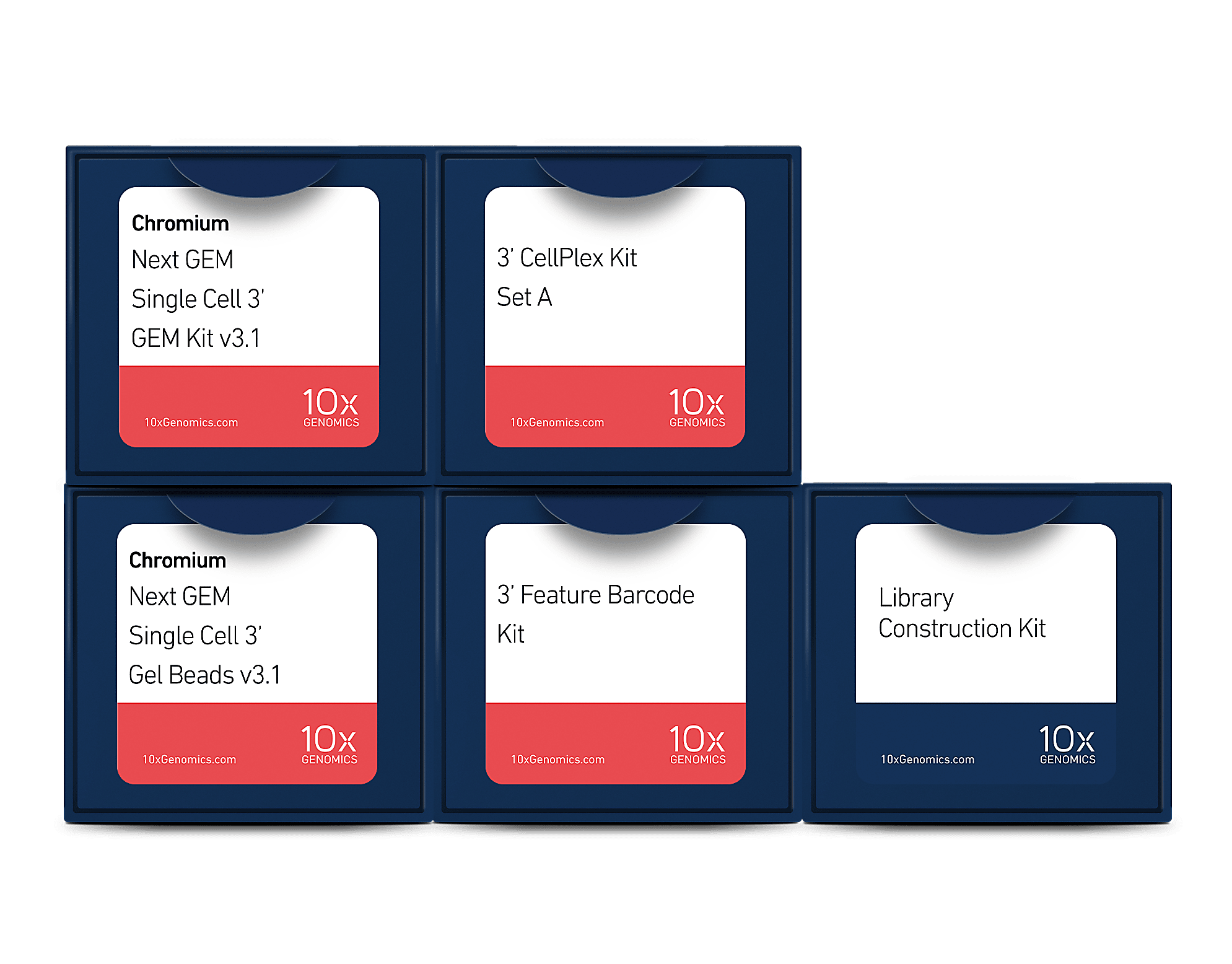 Chromium Single Cell Gene Expression Reagents Chromium Single Cell Gene Expression Reagents
