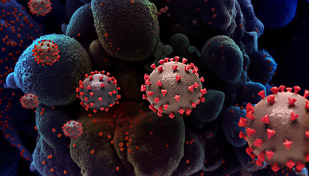 3D rendering of SARS-CoV-2 attacking normal human cells