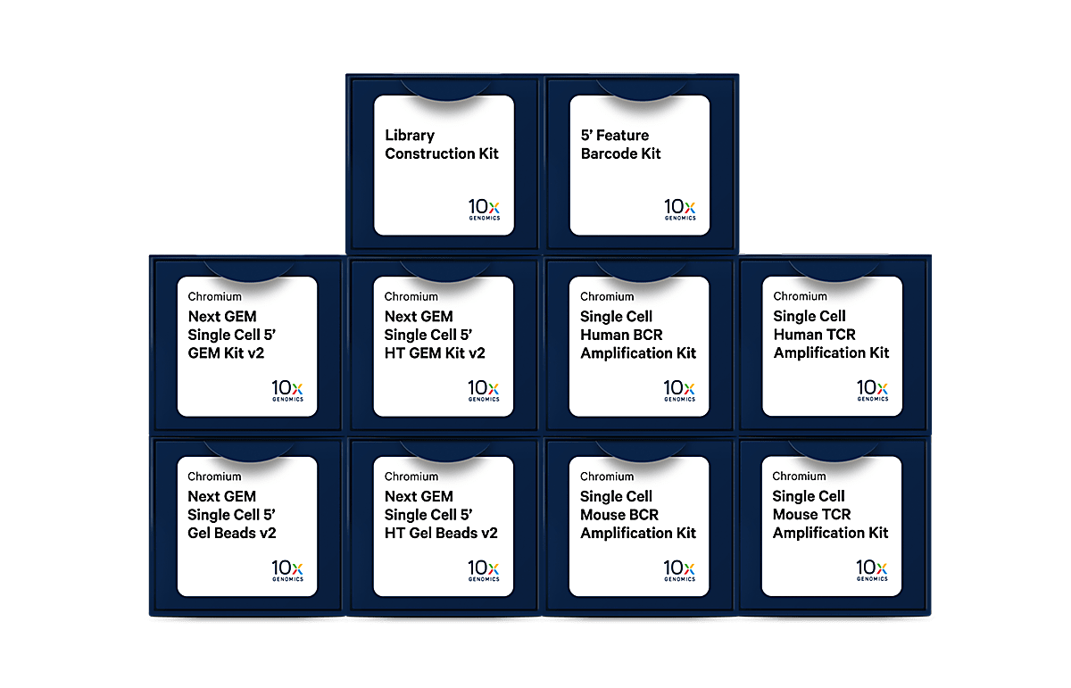 Chromium Single Cell Immune Profiling reagents