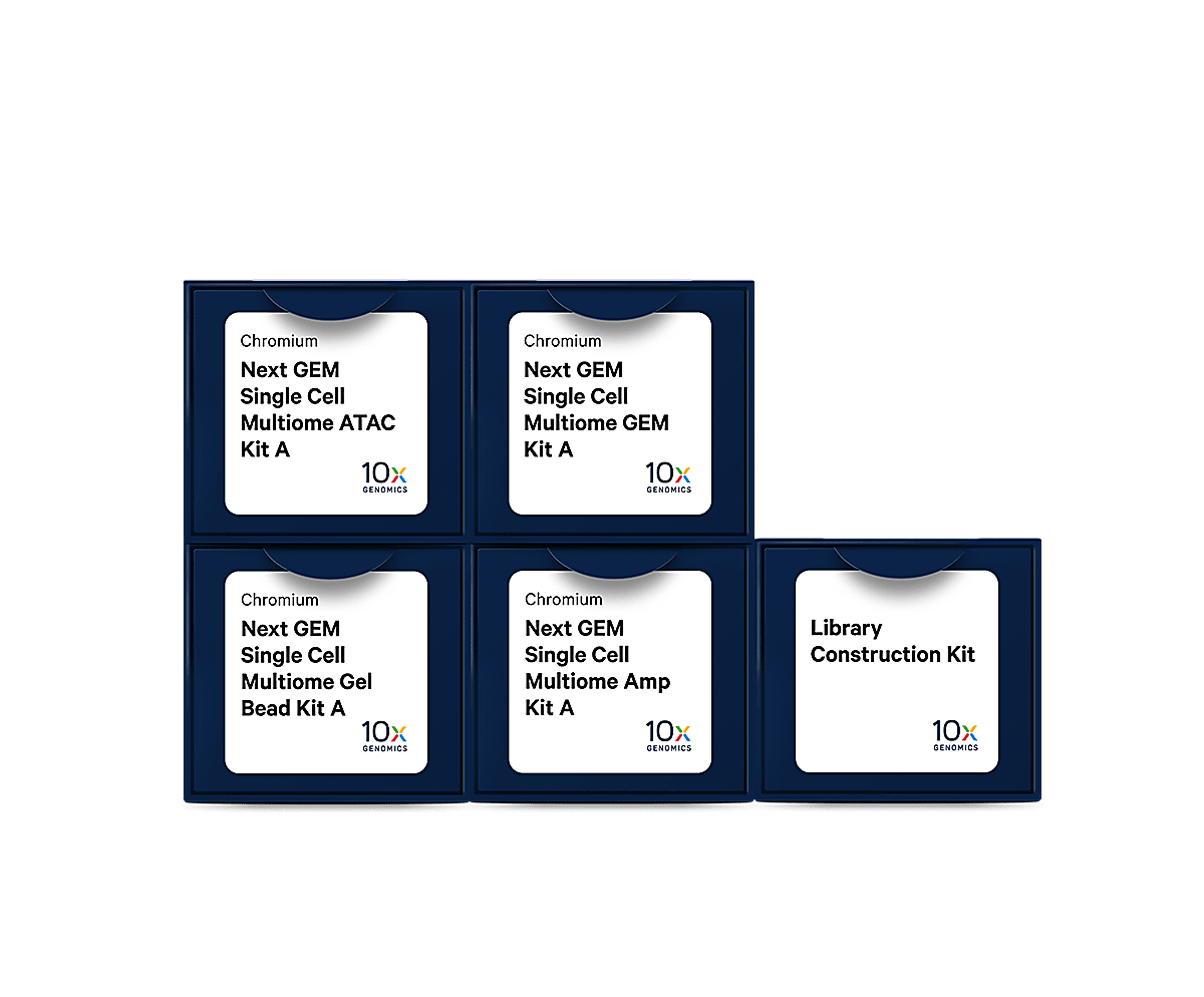 Chromium Single Cell Multiome ATAC + Gene Expression Reagents