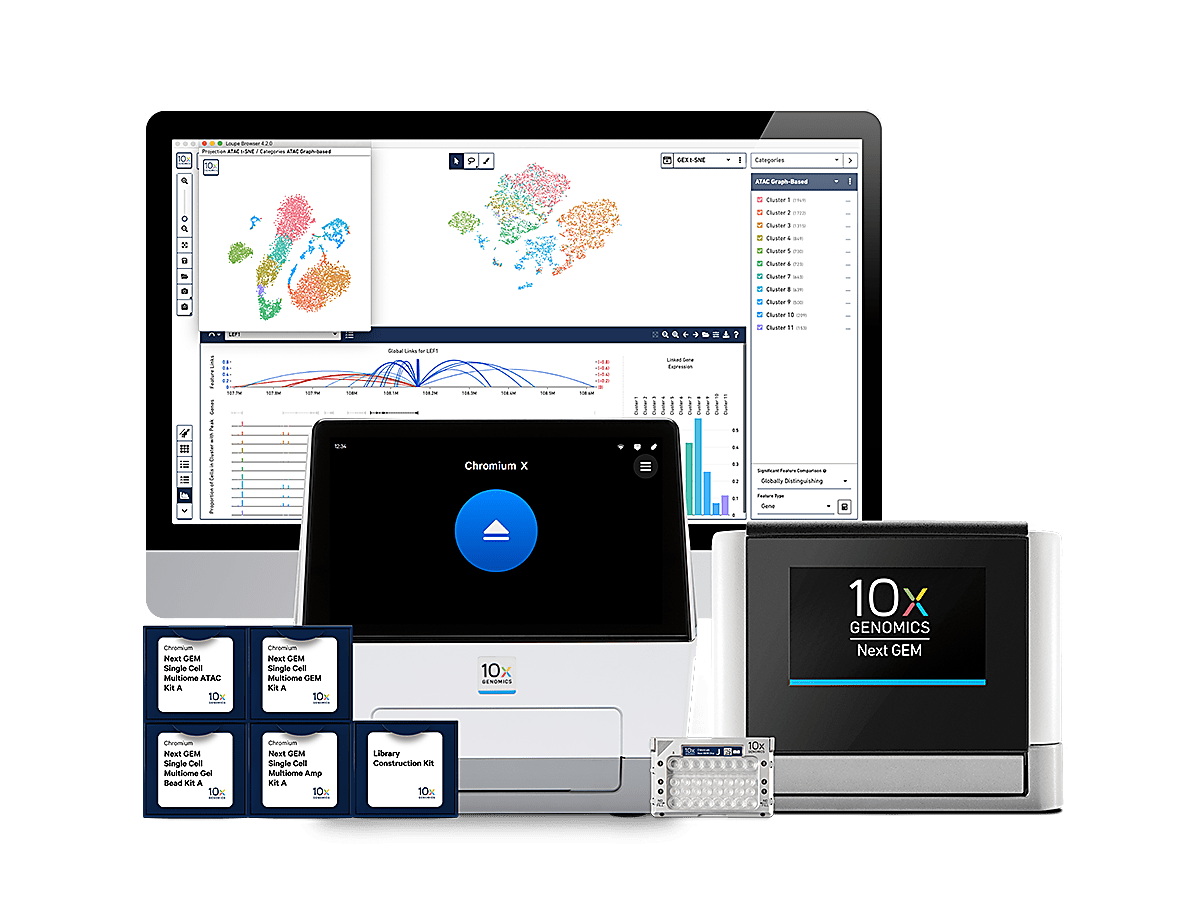 Single Cell Gene Expression