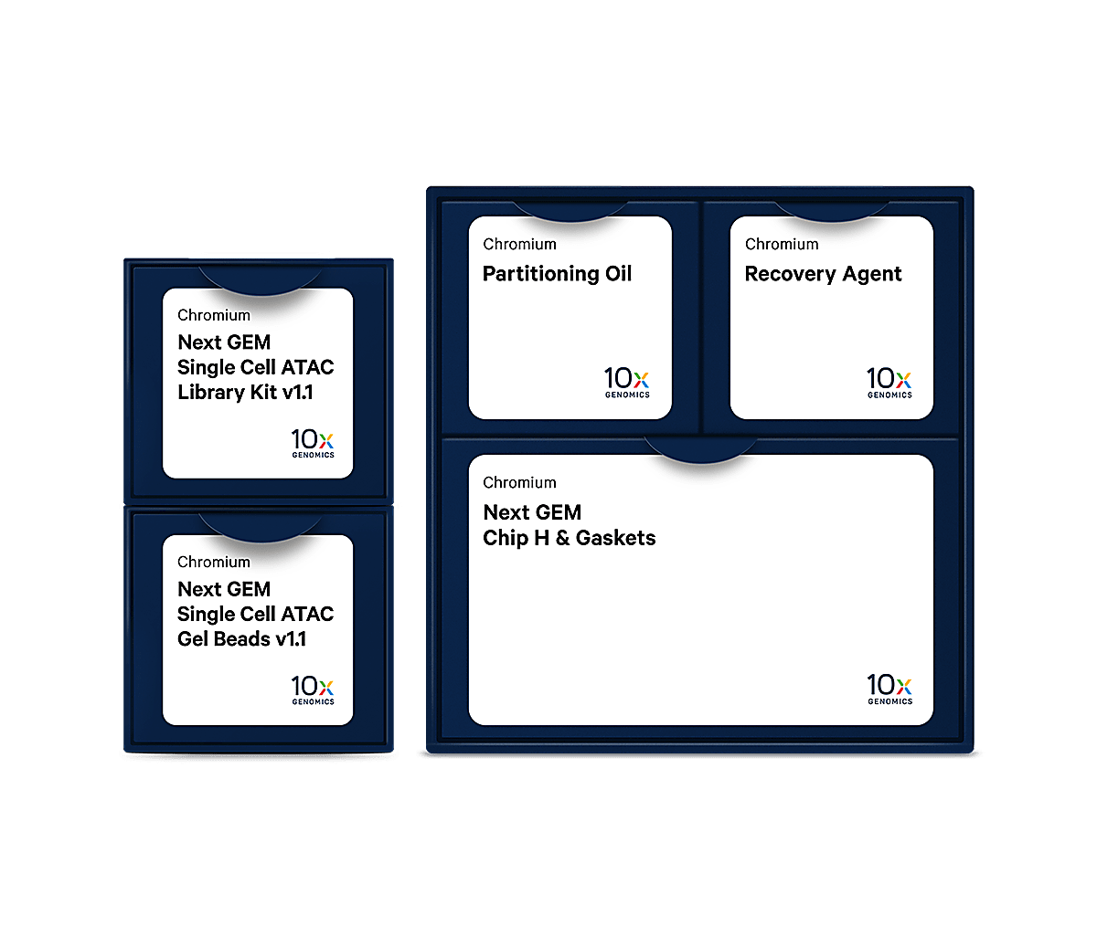 Chromium Single Cell ATAC Reagents