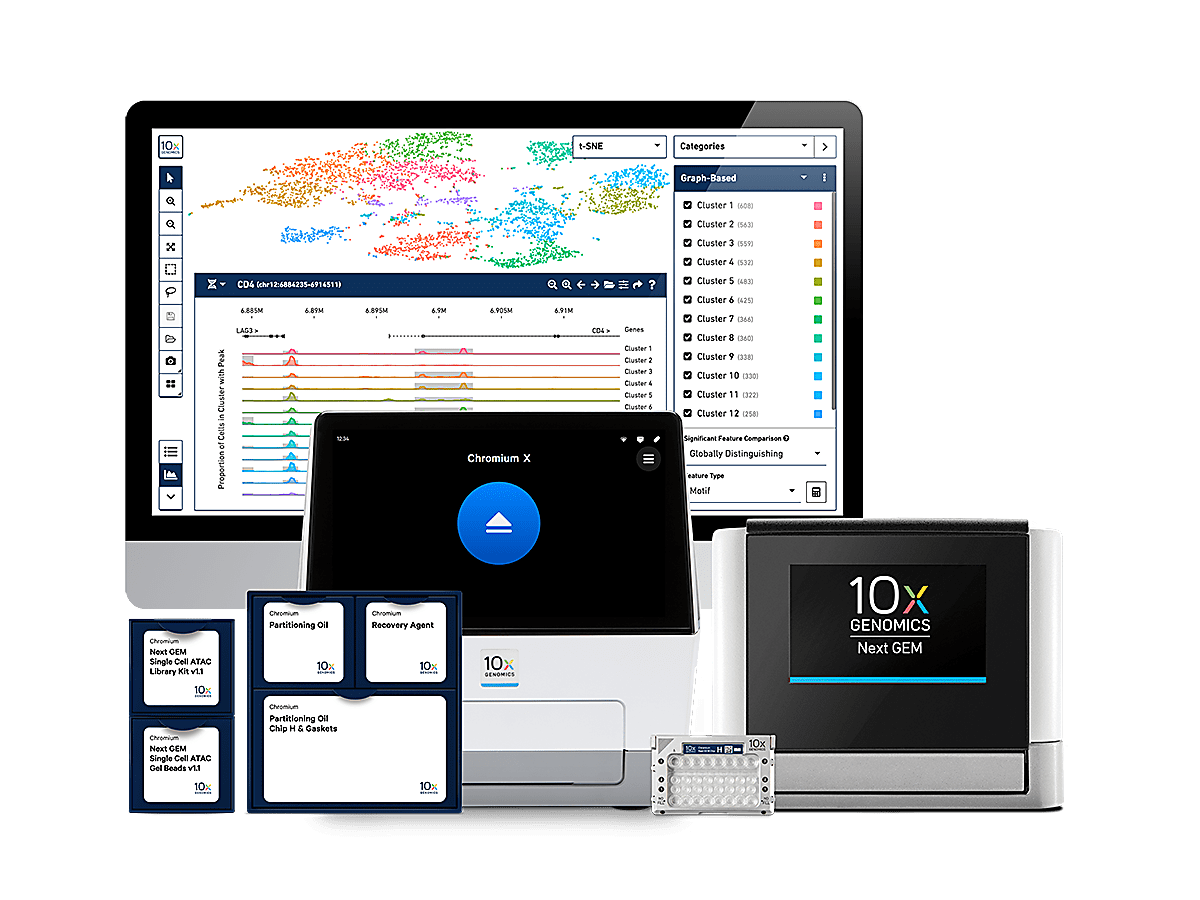 10x chromium single cell immune profiling