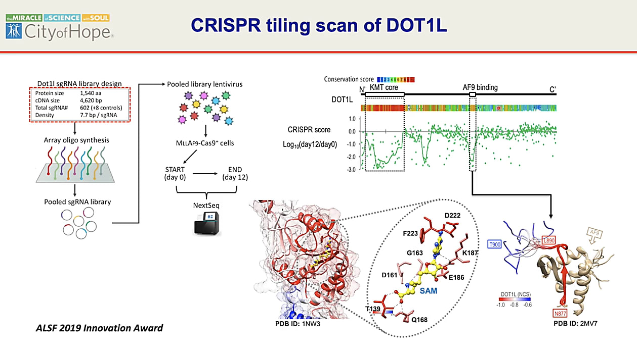 Depiction of CRISPR tiling screen. 10x Genomics Webinar. 