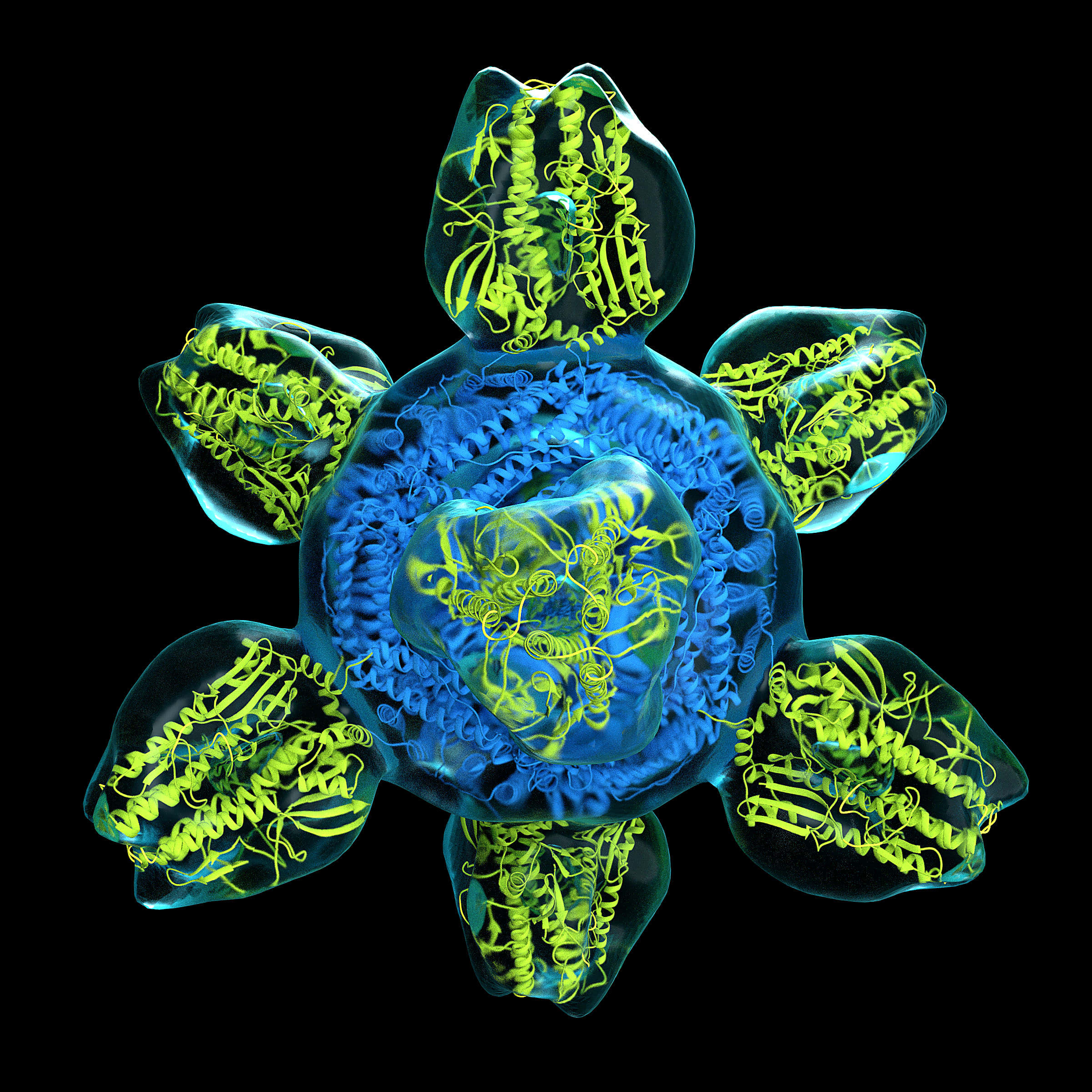 Colorized structure of a prototype for a universal flu vaccine. CREDIT: NIAID