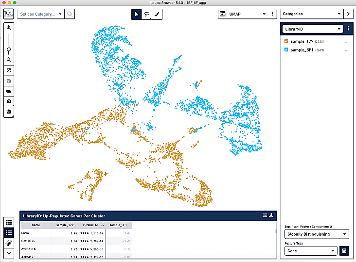 Representation of batch effects in Loupe Browser. 