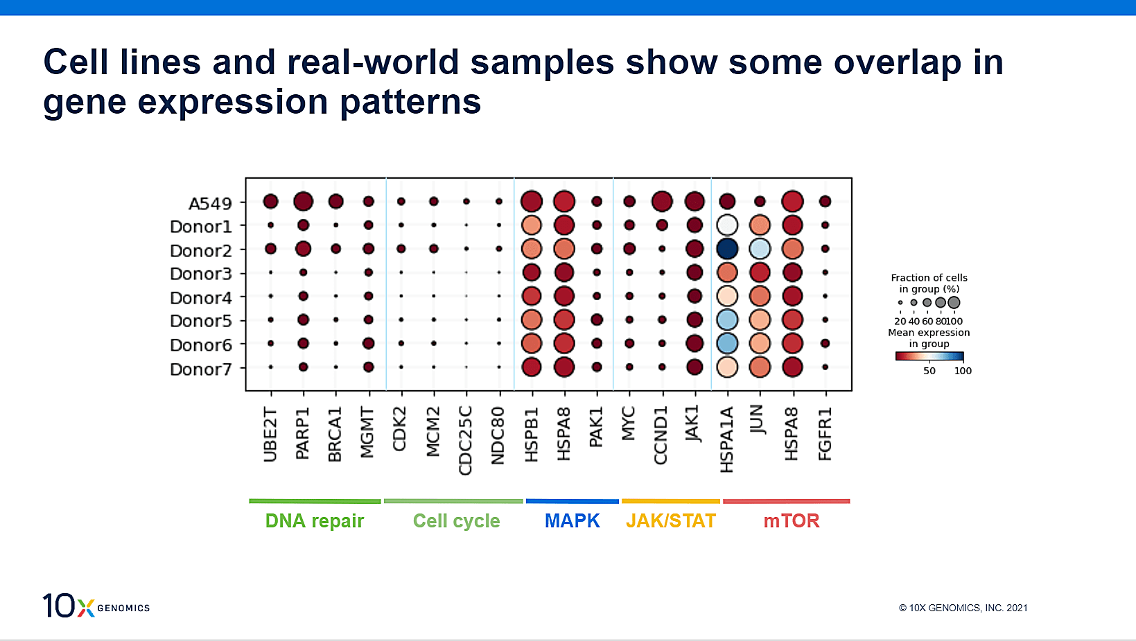 Dot plot examining the gene signatures of patient samples and the A549 cell line following drug treatment.