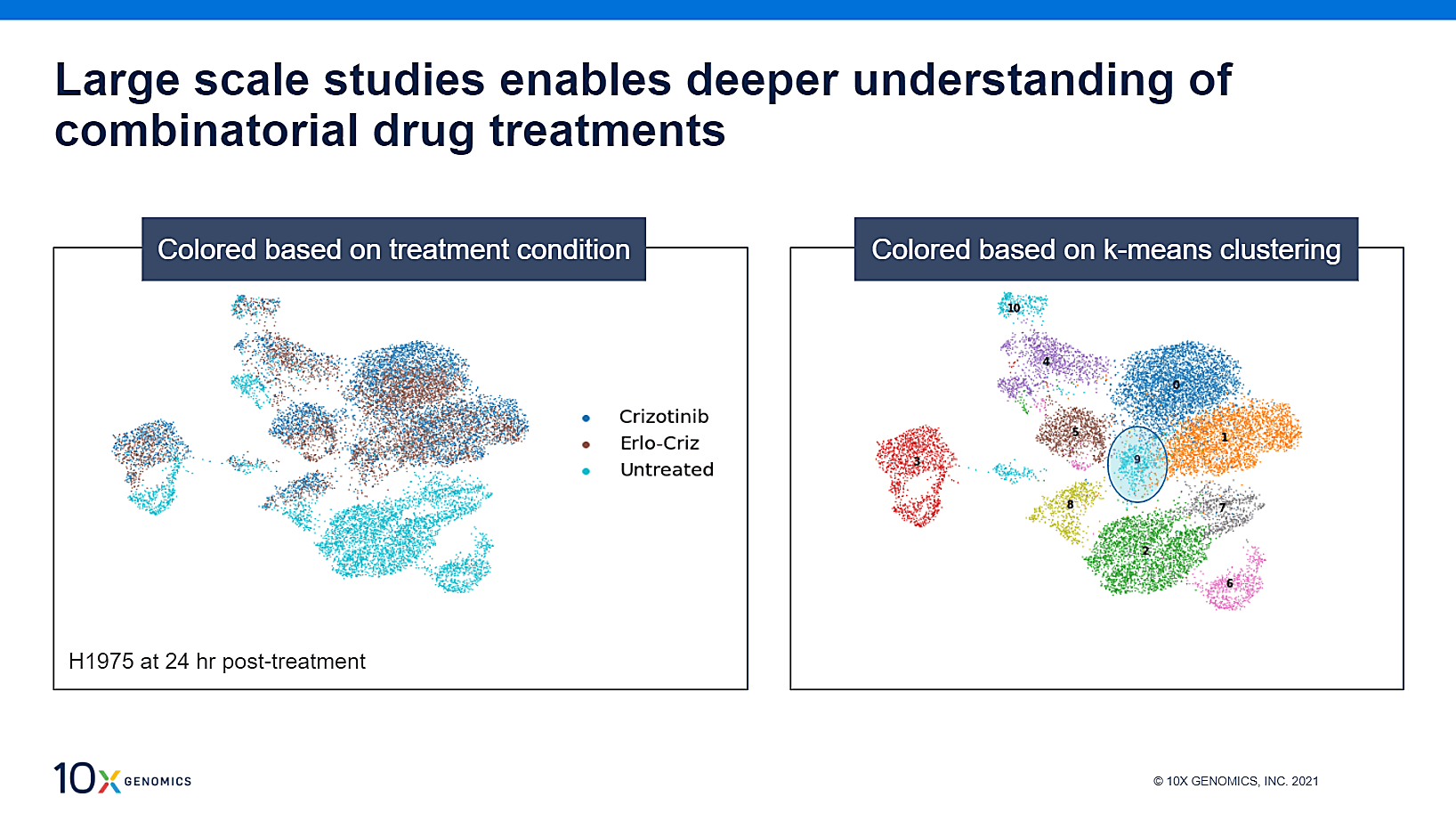 Cluster analysis of H1975 cells after 24 hours of treatment with either crizotinib alone or in combination with erlotinib.