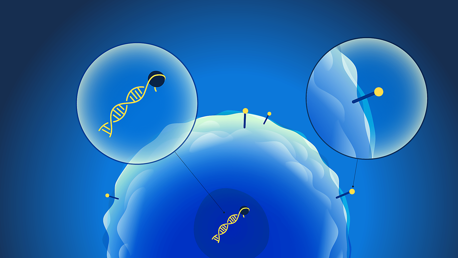 Representation of the PHAGE-ATAC method.