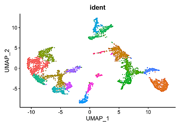 UMAP graph representing single cells grouped by identity.