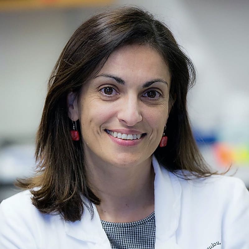 Dr. Stella Goulopoulou, Associate Professor, Longo Center for Perinatal Biology, Loma Linda University