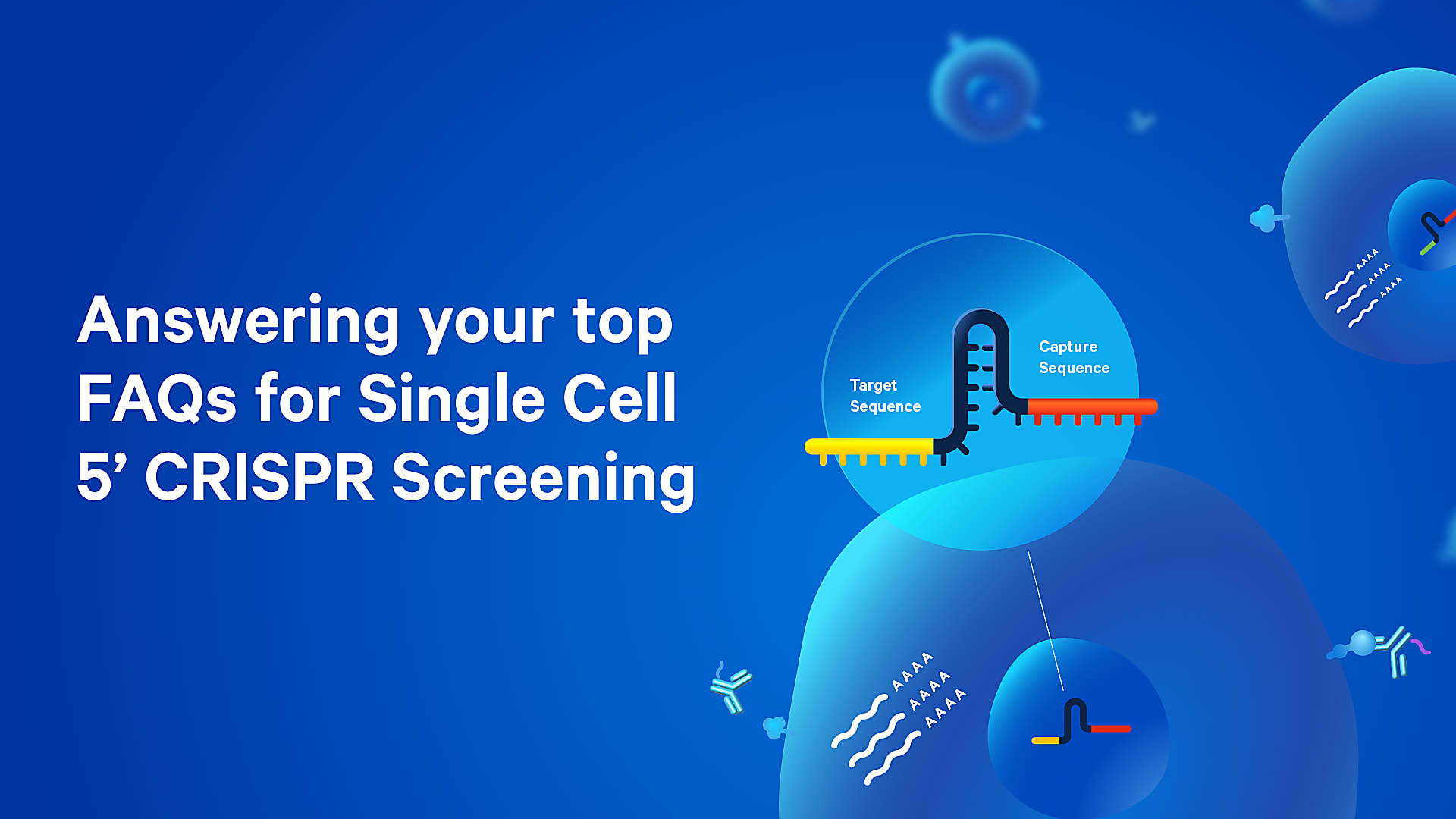 Answering your questions about Single Cell 5’ CRISPR Screening | 10x ...