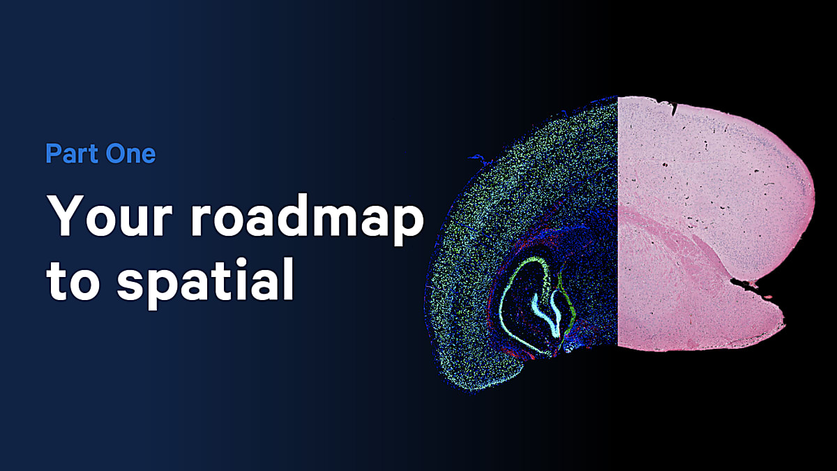 Your roadmap to spatial: Exploring the power of spatial transcriptomics ...