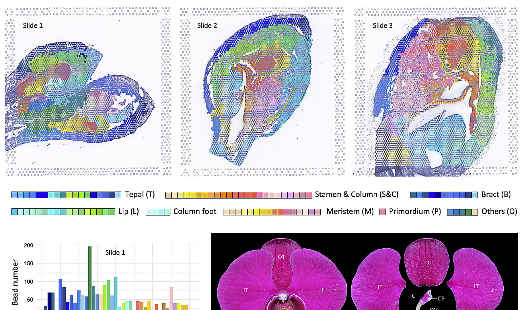 Spatial transcriptomics publications you’ll want to read: 2022 edition ...