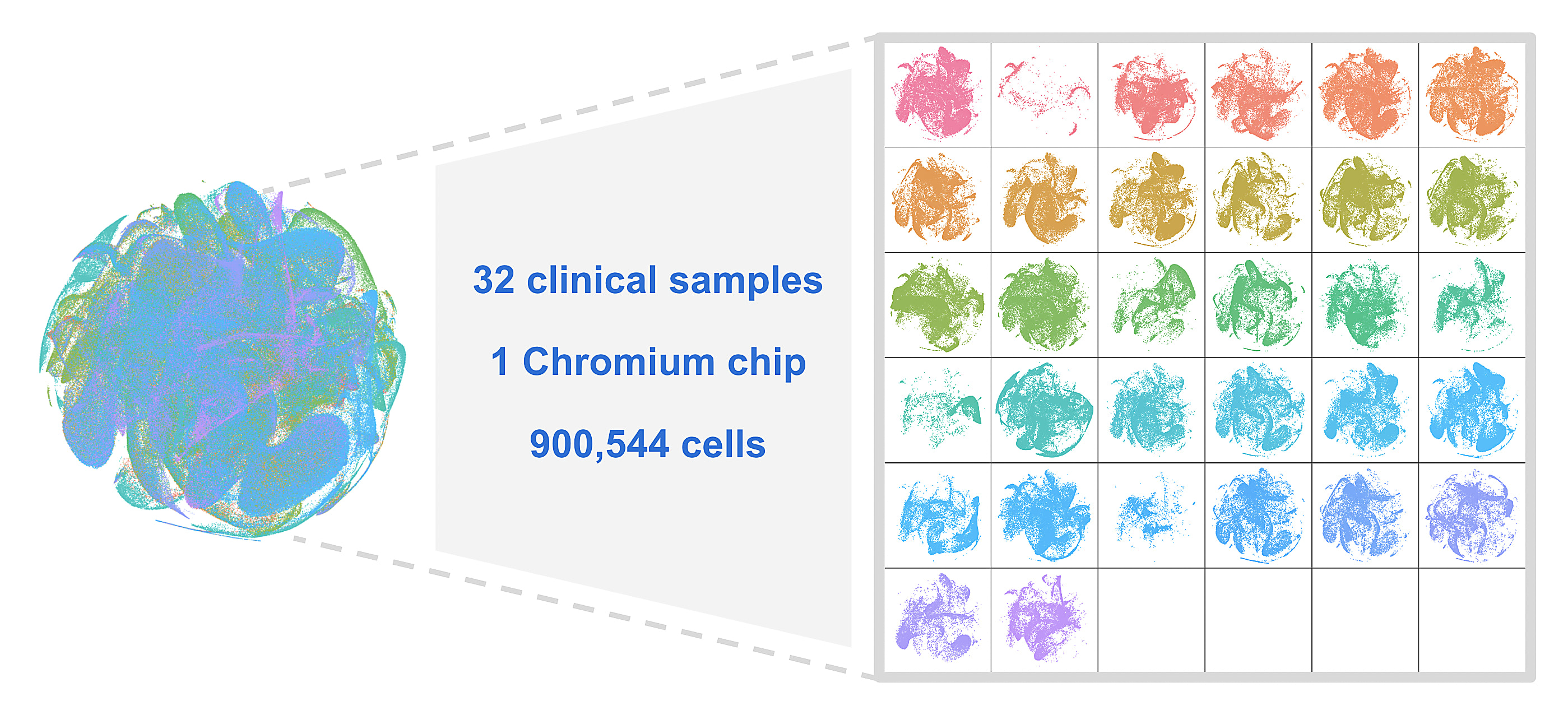 Chromium Single Cell Gene Expression Flex data from 32 clinical samples derived from lung tissues.