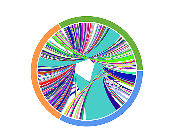 Figure 1. A Circos plot representing the results of matched T-cell receptor sequencing collected on a patient undergoing anti-PD1 therapy. Colors indicate time of collection (blue: pre-treatment, orange: on treatment, green: on-later), and connections indicate overlap of identical TCRs. These results demonstrate a striking diversification of T-cell clonotypes over time. CREDIT: Yiping Wang/CUIMC