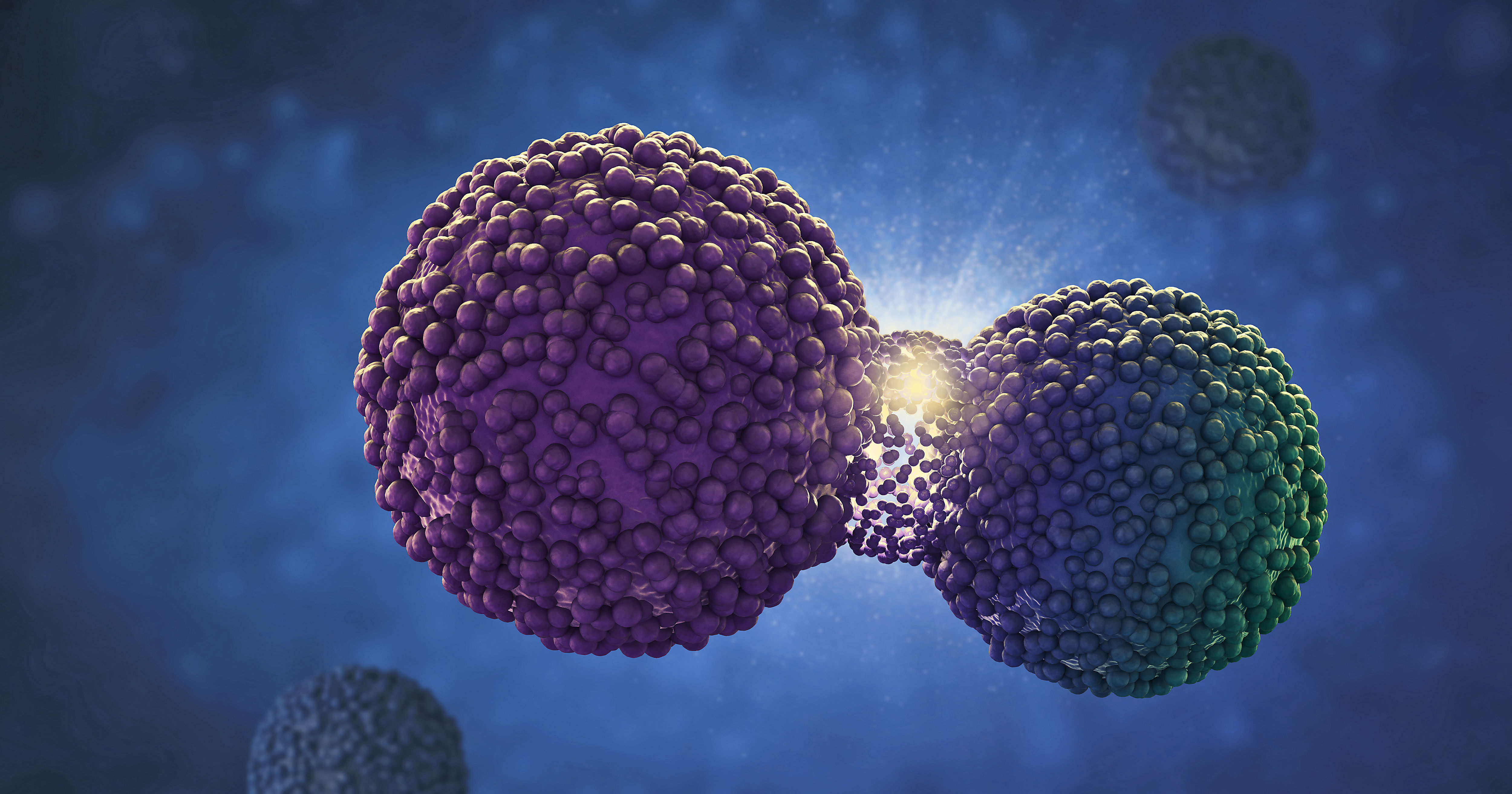 Unlocking the mysteries of cellular senescence with single cell and ...