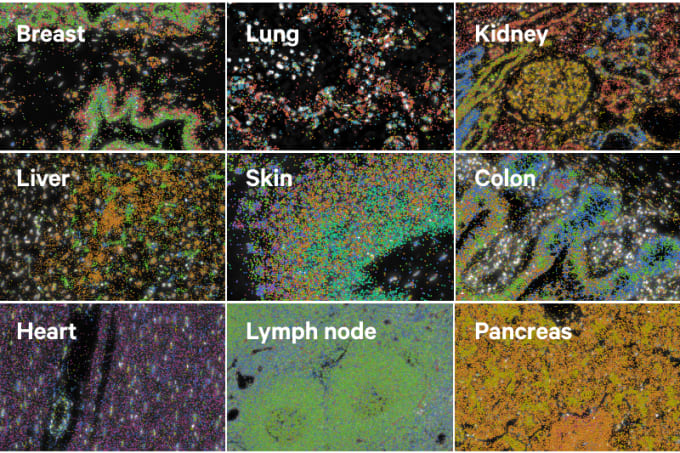 https://cdn.10xgenomics.com/image/upload/dpr_2.0,f_auto,q_auto,w_340/v1692985428/products/Xenium/hmulti_800x533.png